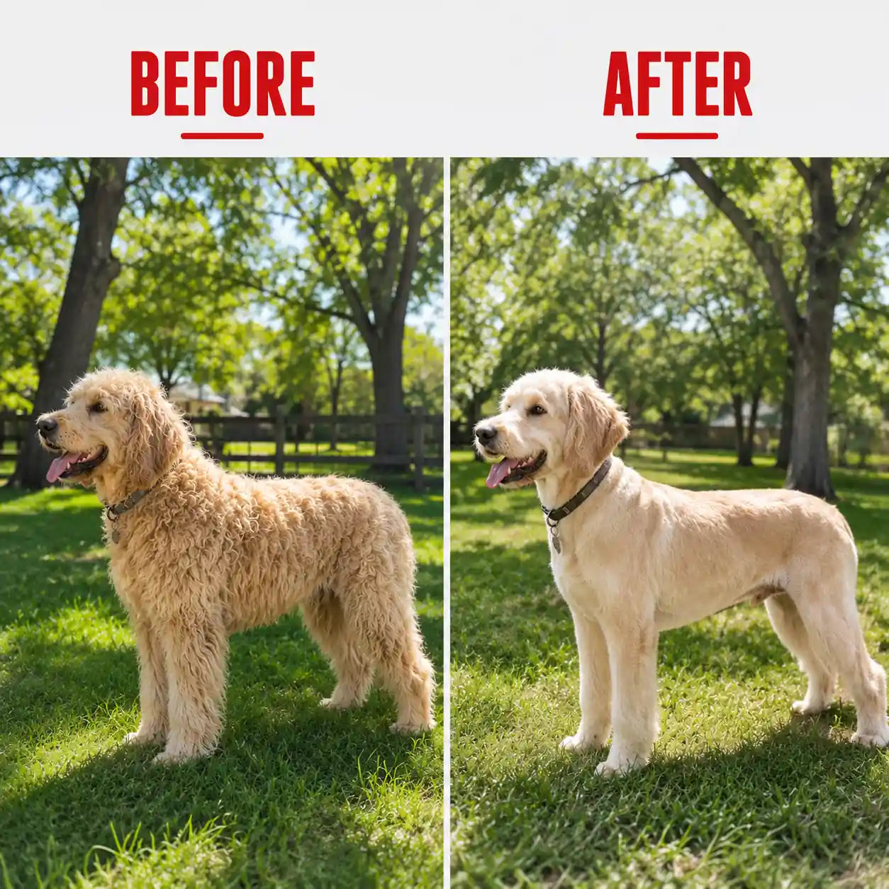 9-in-1 Pet Grooming Kit