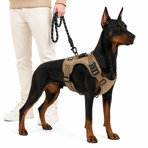 Dog Harness With AirTag Holder