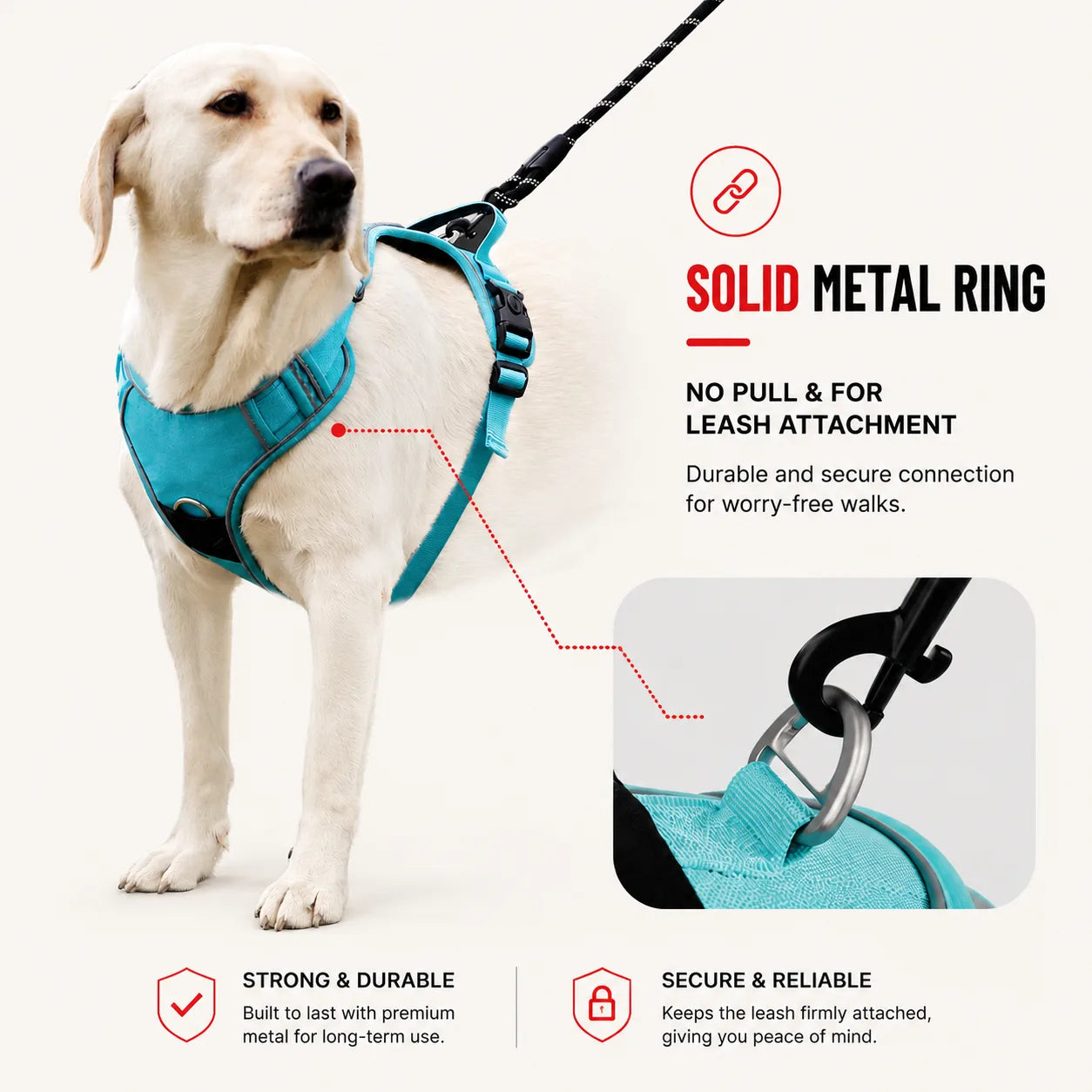 Dog Harness With AirTag Holder