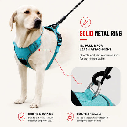Dog Harness With AirTag Holder