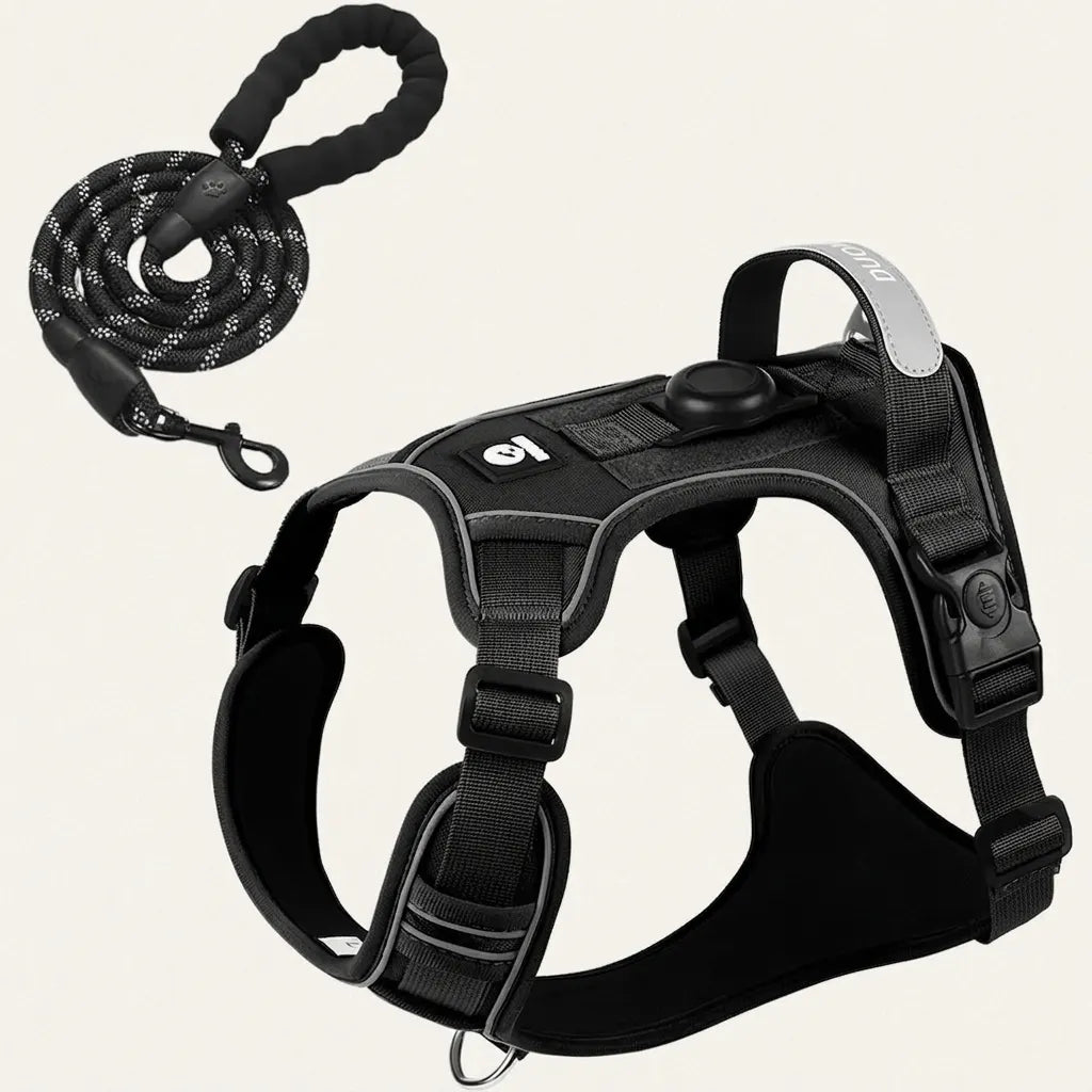 Dog Harness With AirTag Holder